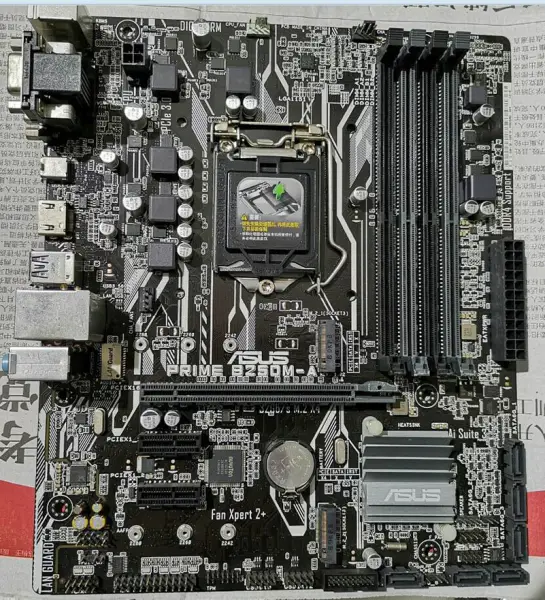 Carte mère Asus PRIME B250M-A