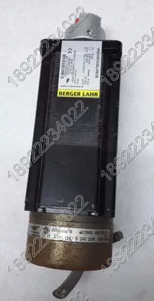 BERGER LAHR Moteur VRDM3913/50LWBOB