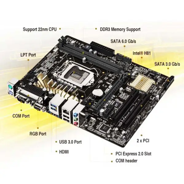 Carte mère H81 pour Asus H81m-v3